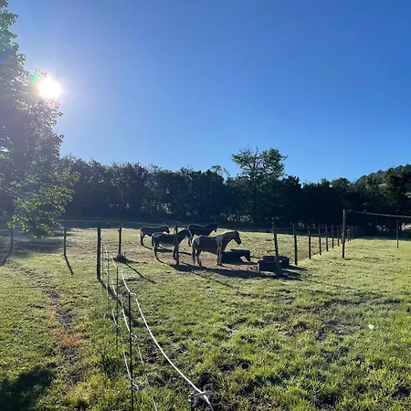 Le Plo Aveyron Severac-d'Aveyron