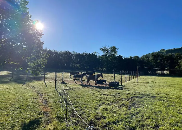 Le Plo Aveyron Severac-d'Aveyron